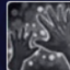 Good Hands